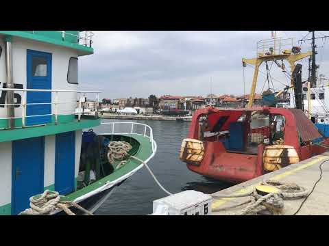 Ships 🛳 in the Port. Bulgaria 🇧🇬 Nessebar